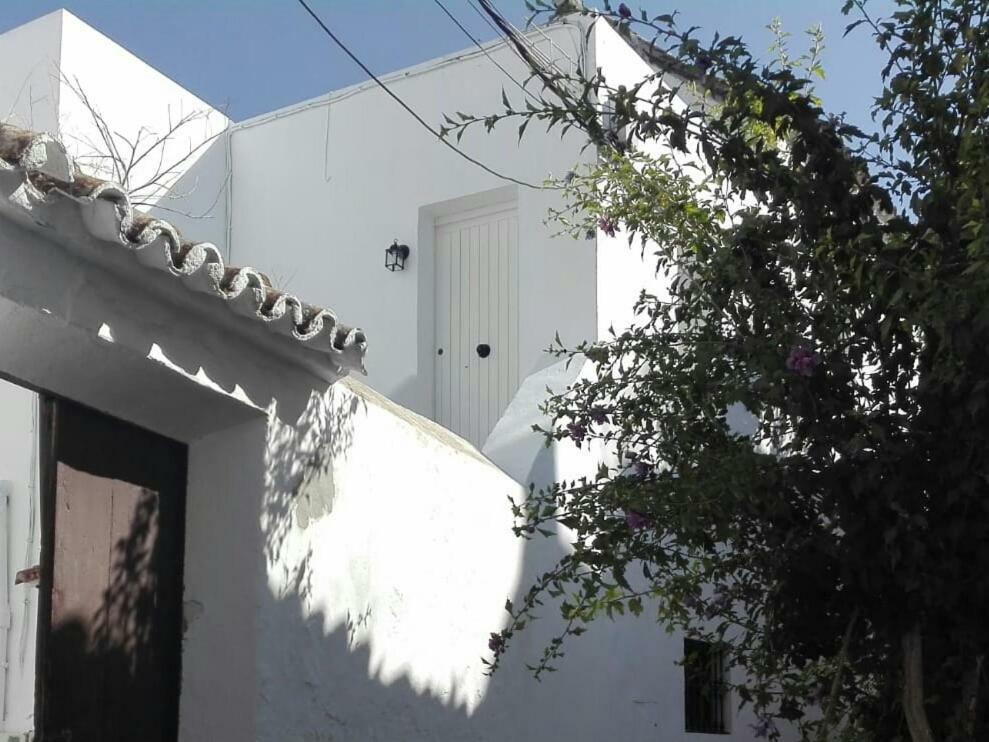 Casa Patio Paraiso Vejer de la Frontera Ngoại thất bức ảnh