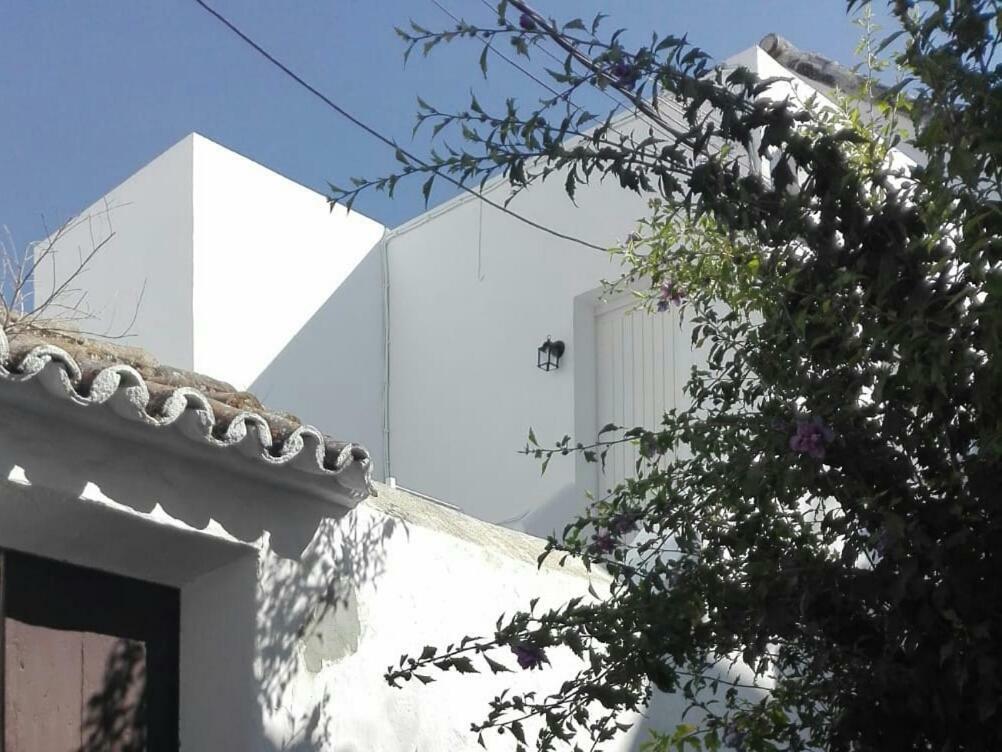 Casa Patio Paraiso Vejer de la Frontera Ngoại thất bức ảnh